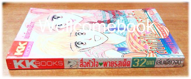 สื่อหัวใจพายรสเด็ด เล่มเดียวจบ ~Aimoto Mizuho~