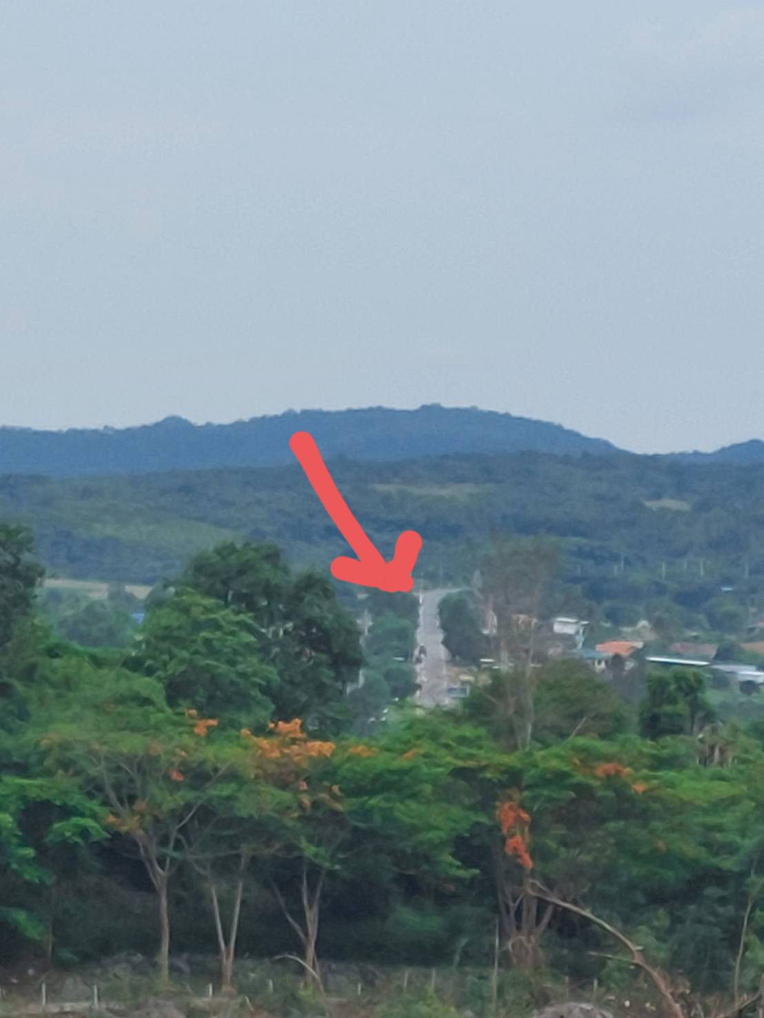 ขาย-ที่ดินเปล่าสวยเขาใหญ่ พื้นที่ 77ไร่ ต..วังไทร อ.ปากช่อง จ.นครราชสีมา