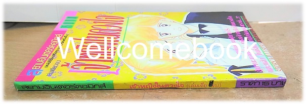 เจ้าหญิงในดวงใจ เล่มเดียวจบ ~Harada Naoko~