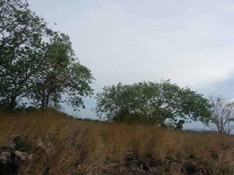 ขาย-ที่ดินเปล่า จำนวน32 ไร่ ต.ห้วยมงคล อ. หัวหิน จ.ประจวบคีรีขันธ์