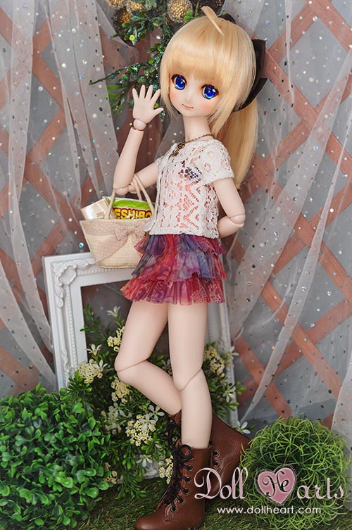 [SALE -50%] MDD Begonia