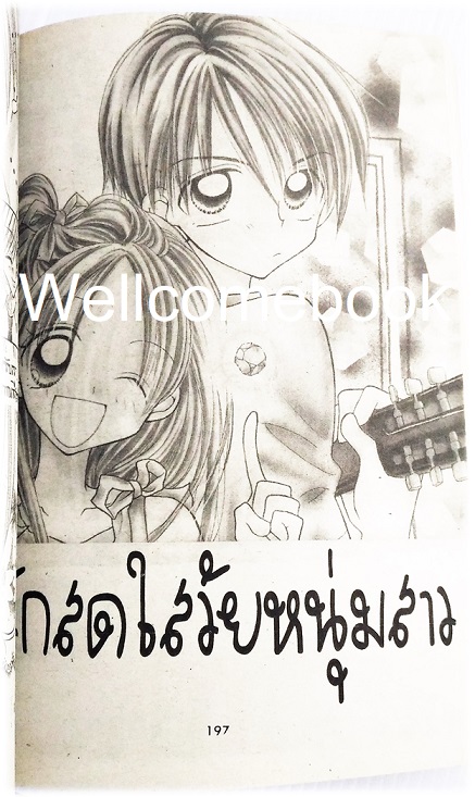 ค้างคาวฟันหลอ เล่มเดียวจบ