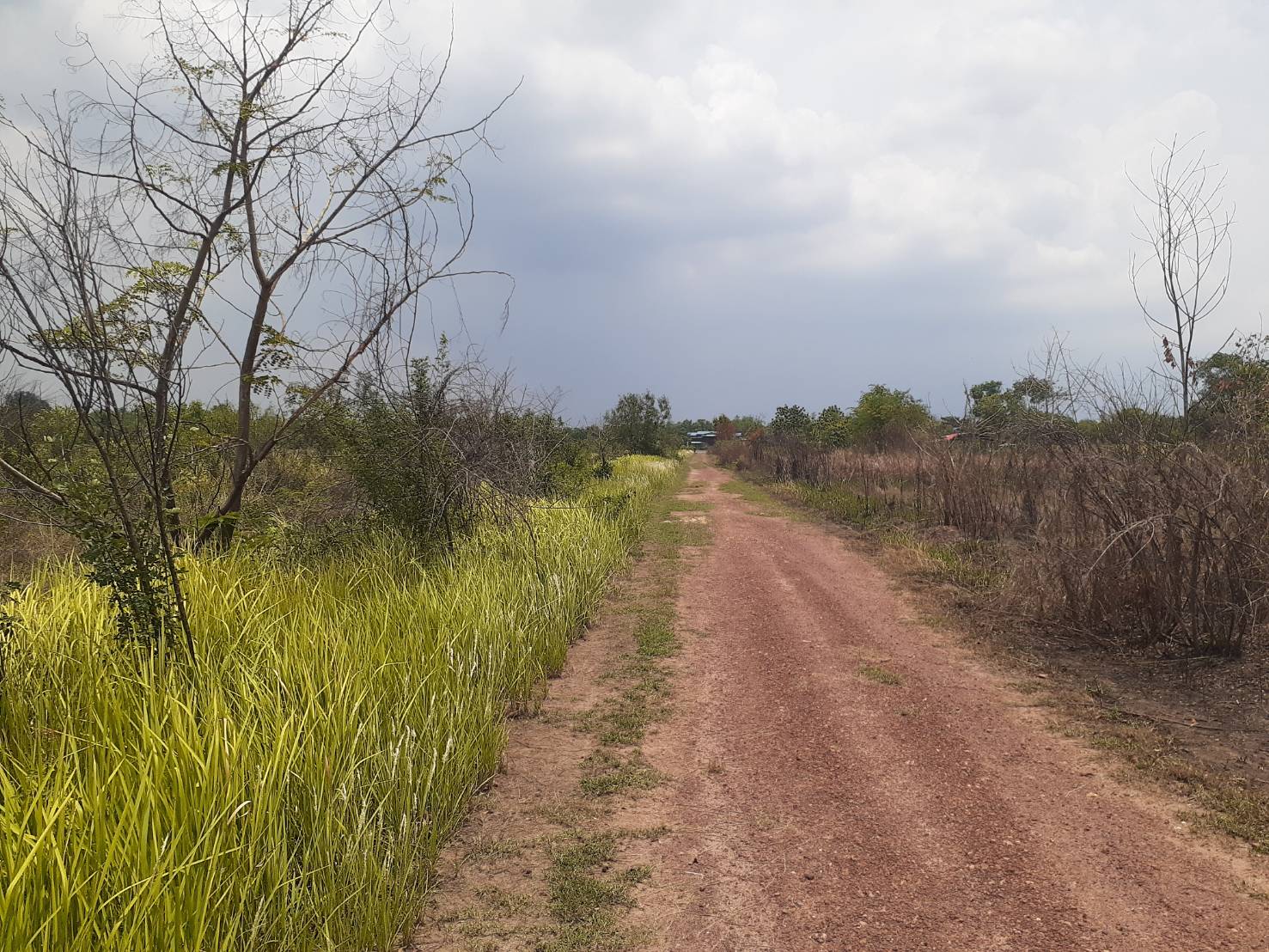 ขาย-ที่ดินจัดสรร จำนวน100ตรว. อยู่หลังอยู่หลังมหาลัยประสานมิตร ต.ศีรษะกระบือ อ.องครักษ์ จ.นครนายก