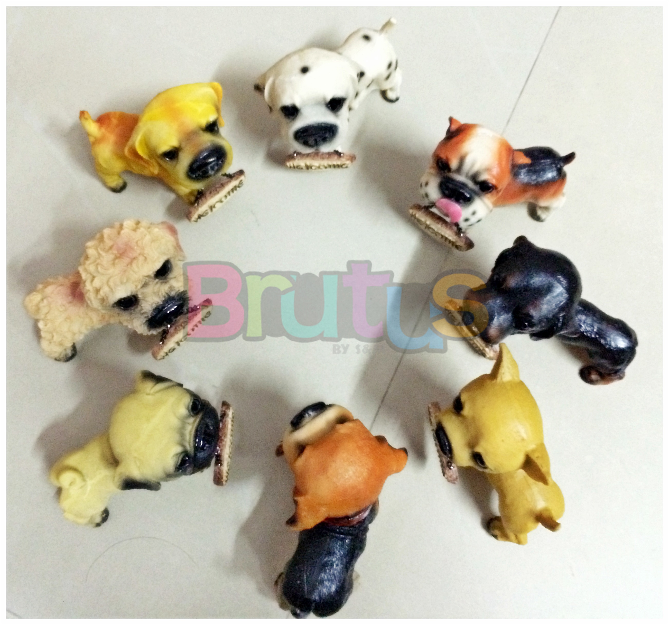 ตุ๊กตาสุนัข เรซิ่น หลายพันธุ์(8แบบ) Size S