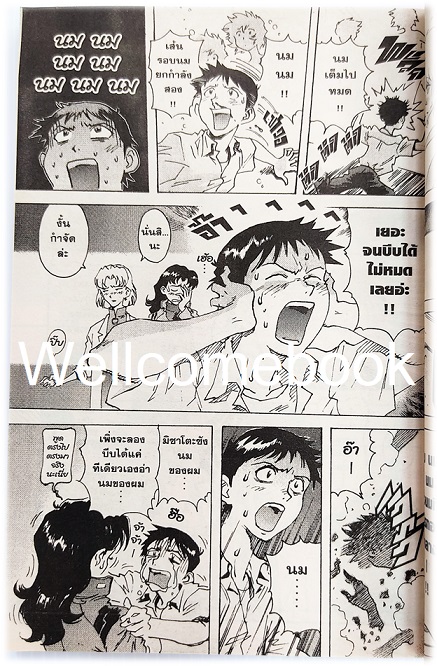 Xรวมชุด "EVANGELION เอวานเกเลี่ยน ฉบับพรีเมี่ยม BB 14 เล่มจบ + เอวานเก๊เลียนฮาหลุดโลก เล่มเดียวจบ" ~Sadamoto Yoshiyuki~