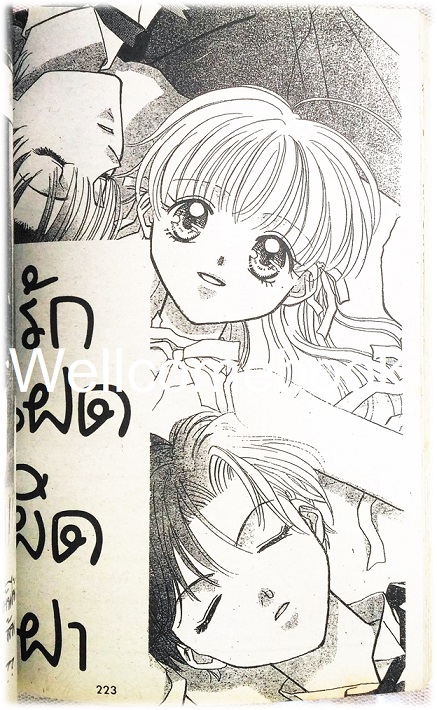 ชะนีสีชมพู เล่มเดียวจบ