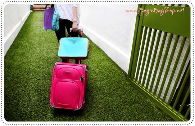 Travel Partition Bag กระเป๋าจัดหมวดหมู่สิ่งของในกระเป๋าเดินทาง