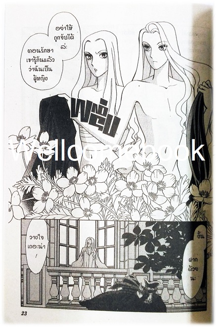 The Wildcat Angel โจรสาวเจ้าเสน่ห์ เล่มเดียวจบ ~NAKA Tomoko~