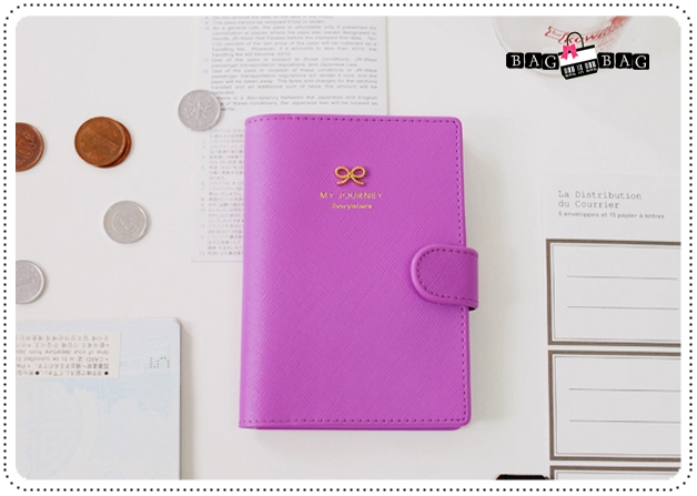 Ribbon Passport Holder