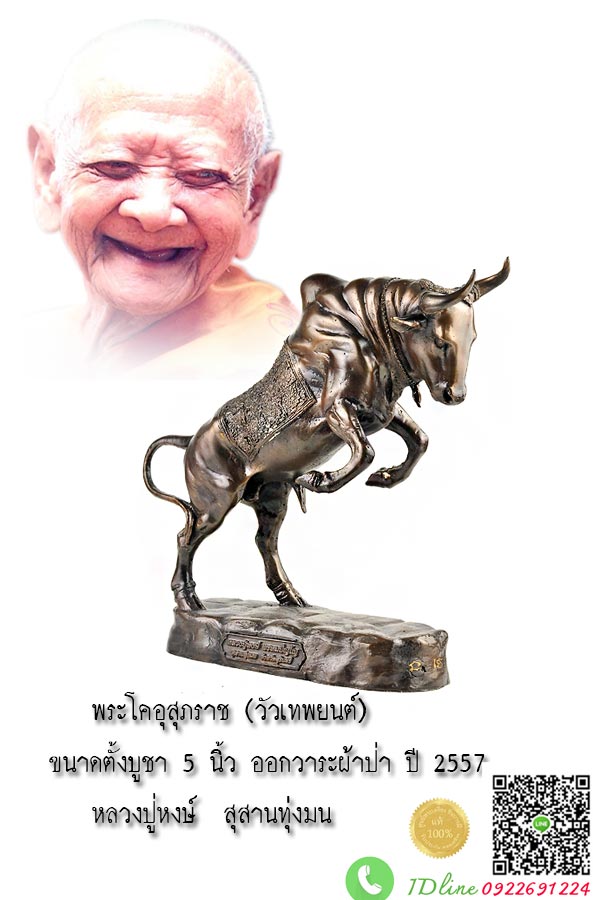 วัวธนูหลวงปู่หงษ์ พระโคอุสุภราช (วัวเทพยนต์) ขนาดตั้งบูชา 5 นิ้ว ออกวาระผ้าป่า ปี 2557(แบบสวยมากฯ กว้าง2.5นิ้ว ยาว7นิ้ว สูง9นิ้ว ) หลวงปู่หงษ์ สุสานทุ่งมน จังหวัดสุรินทร์
