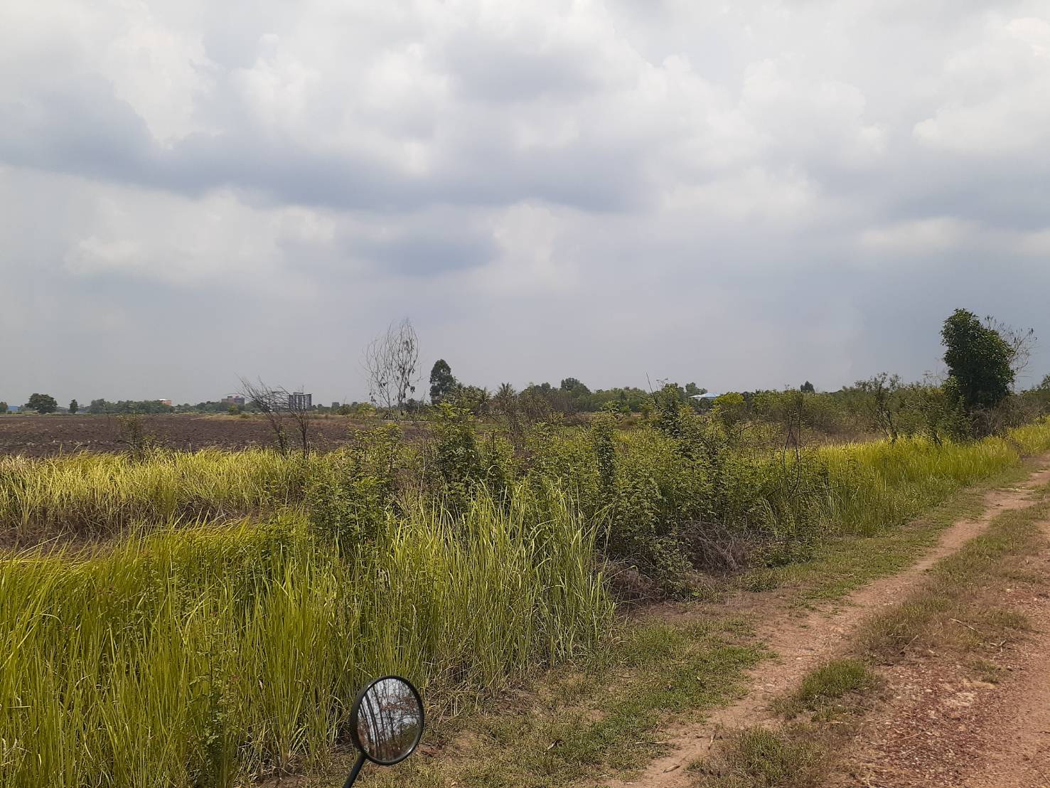 ขาย-ที่ดินจัดสรร จำนวน100ตรว. อยู่หลังอยู่หลังมหาลัยประสานมิตร ต.ศีรษะกระบือ อ.องครักษ์ จ.นครนายก