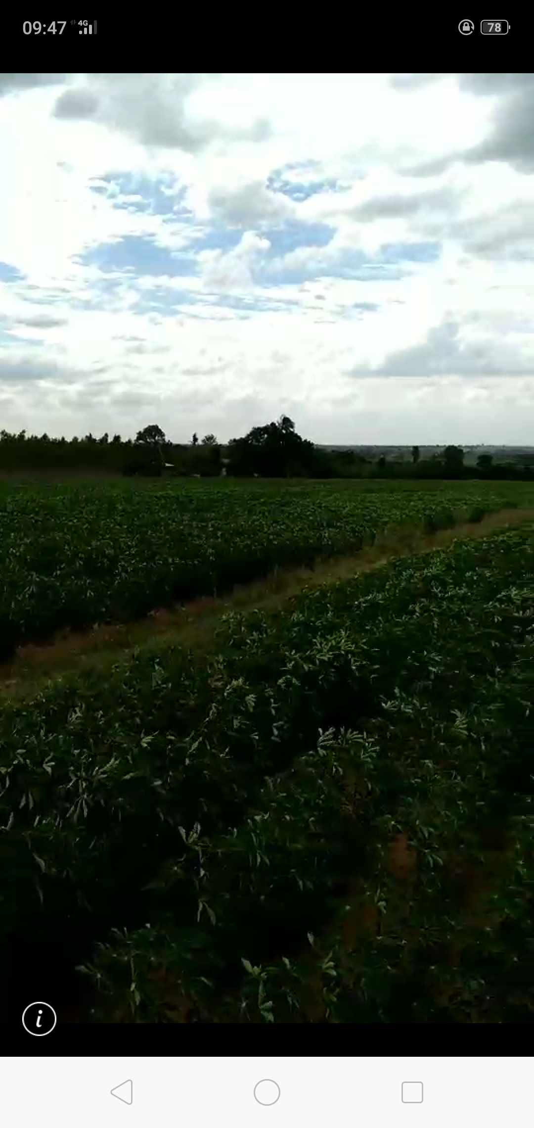 ขาย-ที่ดินเปล่ จำนวน888ไร่ ต.ตะขบ อ.ปักธงชัย จ.นครราชสีมา