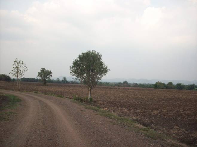 ขาย-ที่ดินเปล่า 300 ไร่ แปลงใหญ่ เจ้าของเดียว ตำบลหินซ้อน อำเภอแก่งคอย จังหวัดสระบุรี