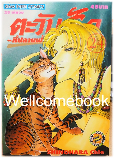 Xรวมชุด "ตะวันรักที่ปลายฟ้า" 28 เล่มจบ ~Shinohara Chie~