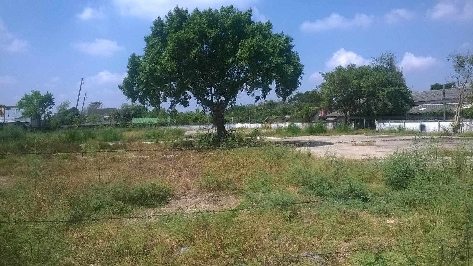 ขายที่ดินเปล่า 3ไร 3 งาน ซอยนิมิตใหม่15 แขวงสามวาตะวันออก เขตคลองสามวา