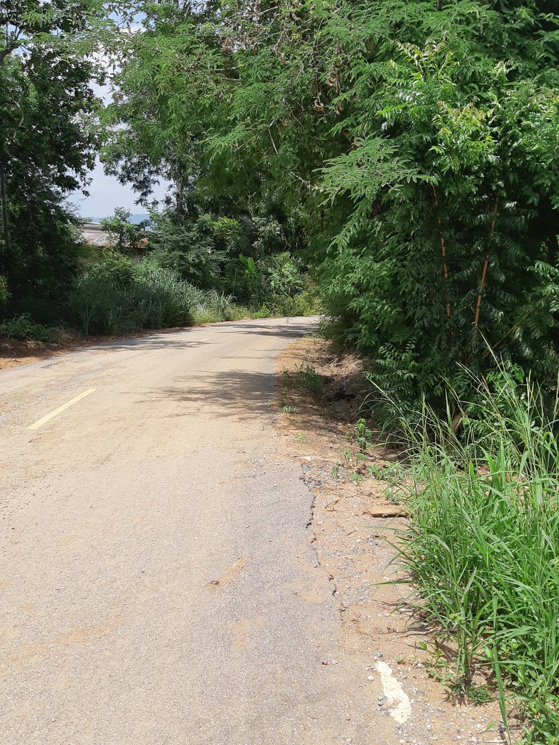 ขาย-ที่ดินเปล่าสวย 10ไร่ 2งาน 96ตรว. ส.ป.ก.4-01 ต.อุดมทรัพย์ อ.วังน้ำเขียว จ.นครราชสีมา