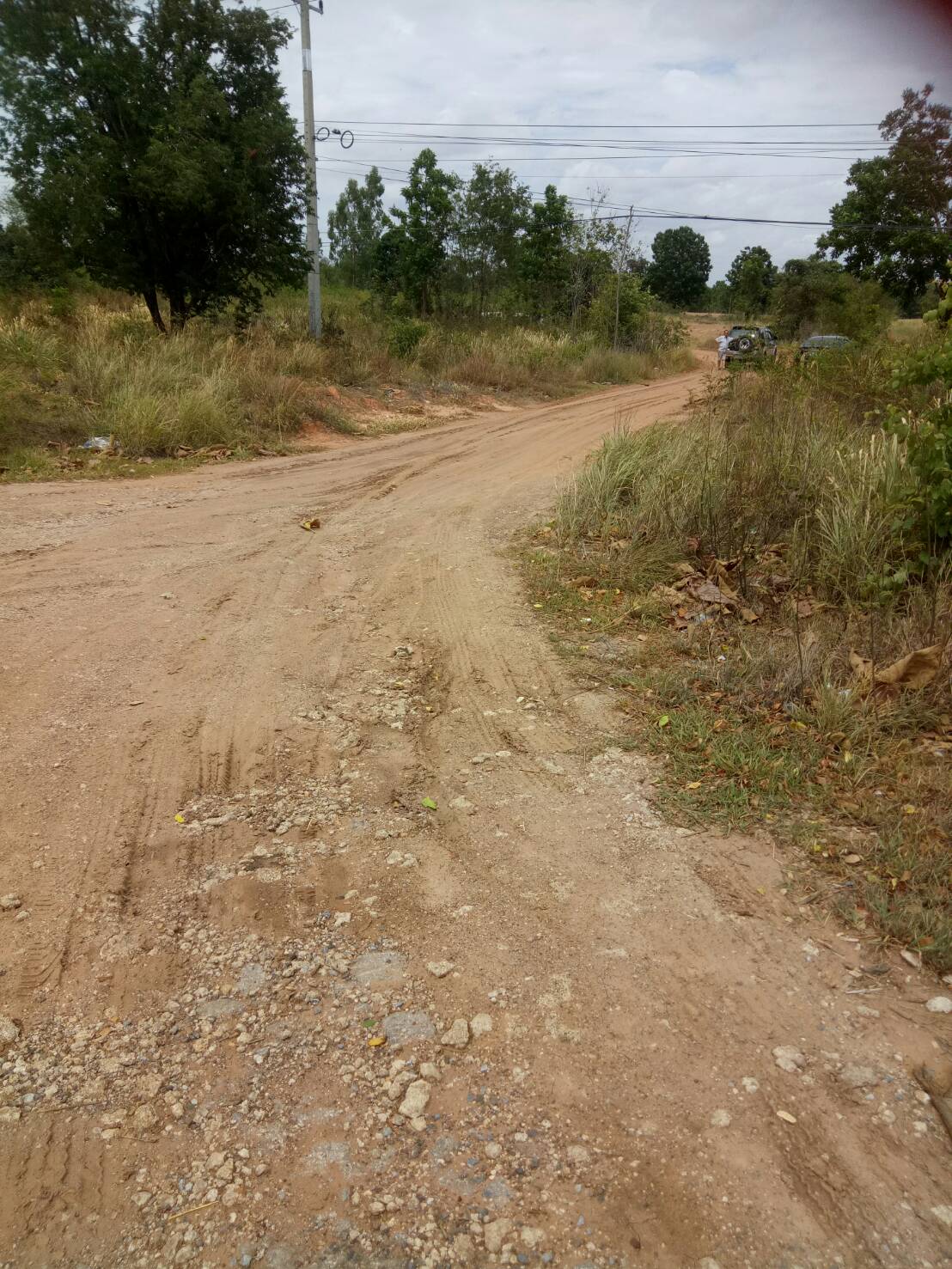 ขาย-ที่ดินเปล่า จำนวน2500ไร่ ถ กบินทร์บุรี-ปักธงชัย(304)ต.งิ้ว อ.ปักธงชัย จ.นครราชสีมา