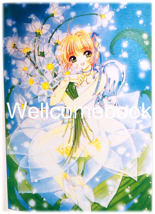 โป้สการ์ด 'Card Captor Sakura' 19