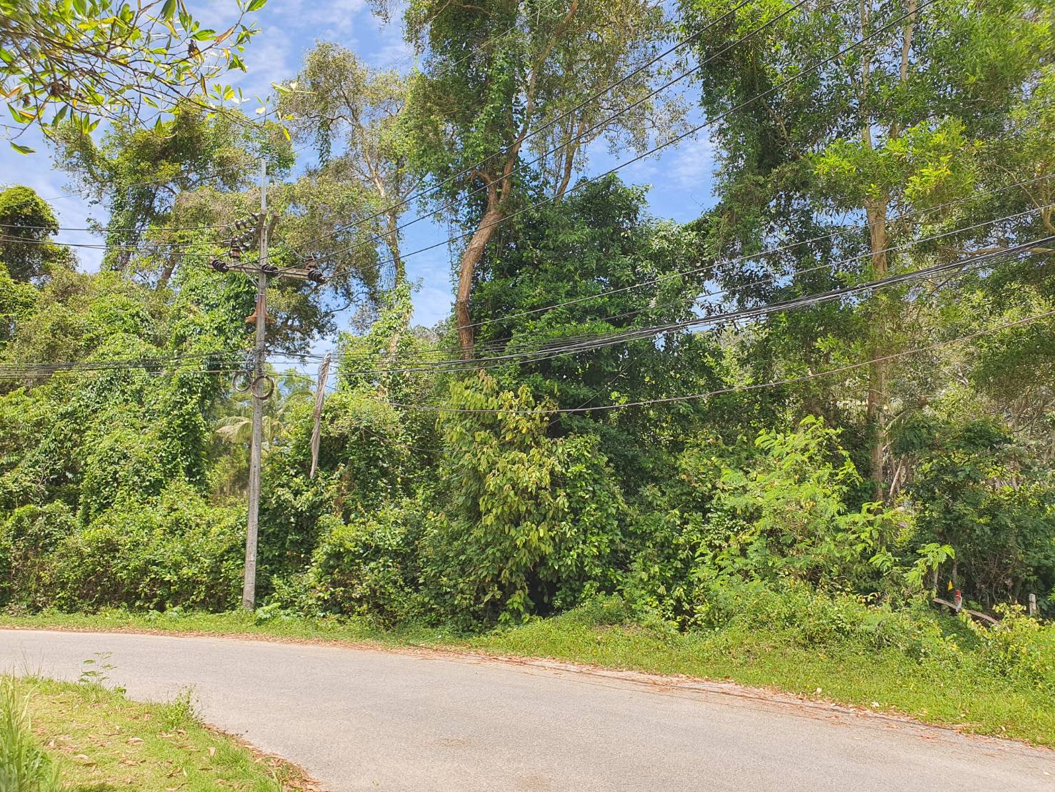 ขายที่ดินเปล่า พื้นที่30-3-89ไร่ หาดไม้ขาว ภูเก็ต