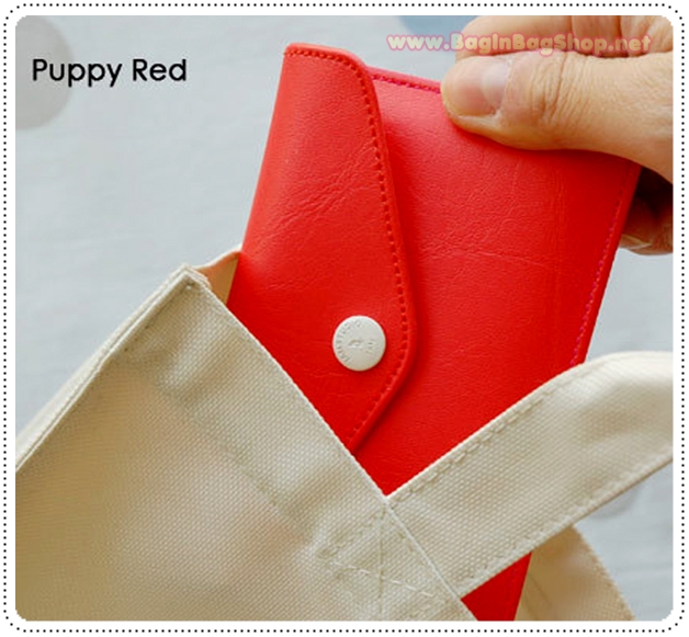 Rainbow Card Case