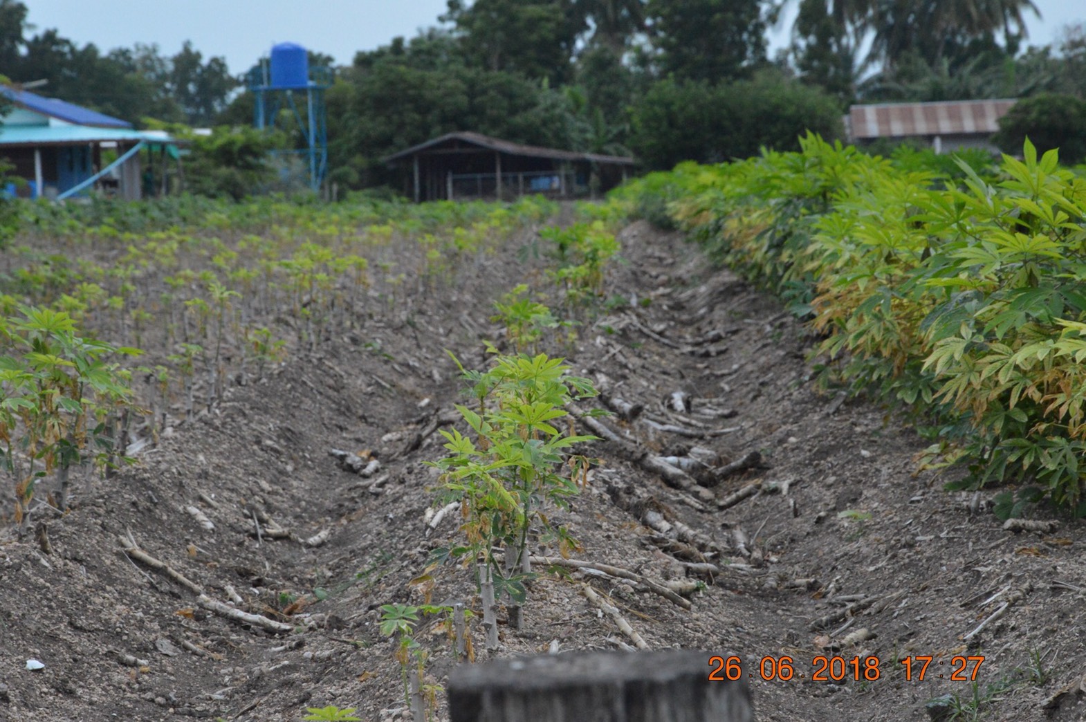 ที่ดินเปล่า จำนวน4ไร่1งาน26ตรว. ต.เขากระลา อ.พยุหะคีรี จ.นครสวรรค์