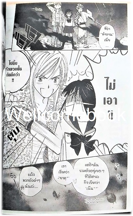 รวมชุด "องครักษ์พิทักษ์หัวใจ" 4 เล่มจบ ~Meca Tanaka~