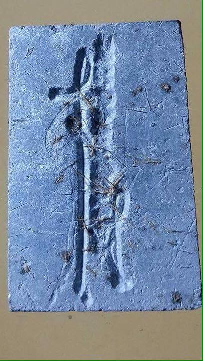 พระสมเด็จขินบัญชรหลังลายเซนรุ่นแรก หลวงพ่อสาคร เนื้อดำ