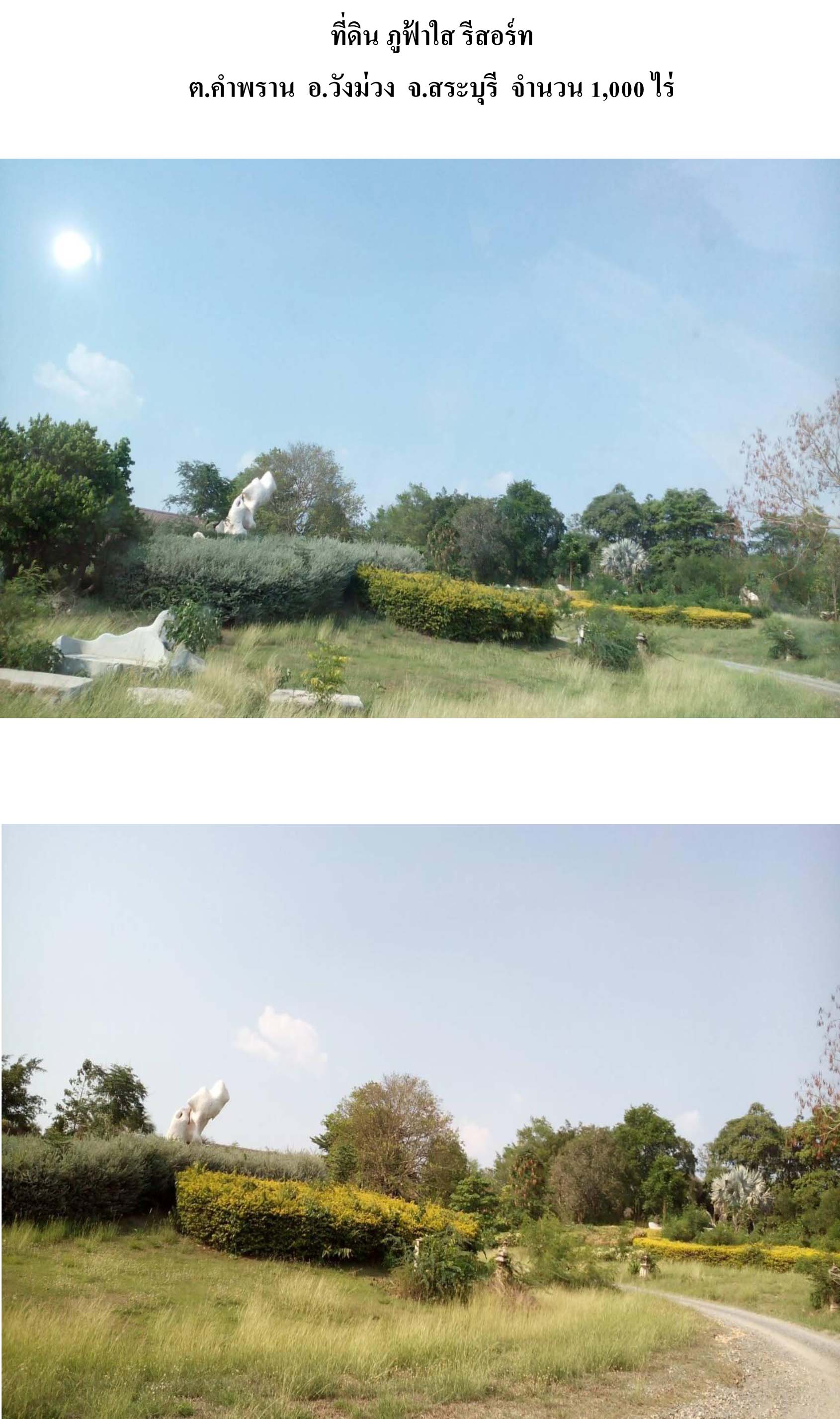 ขาย-ที่ดินเปล่า จำนวน1000ไร่ รีสอร์ทภูฟ้าใส อำเภอวังม่วง จังหวัดสระบุรี