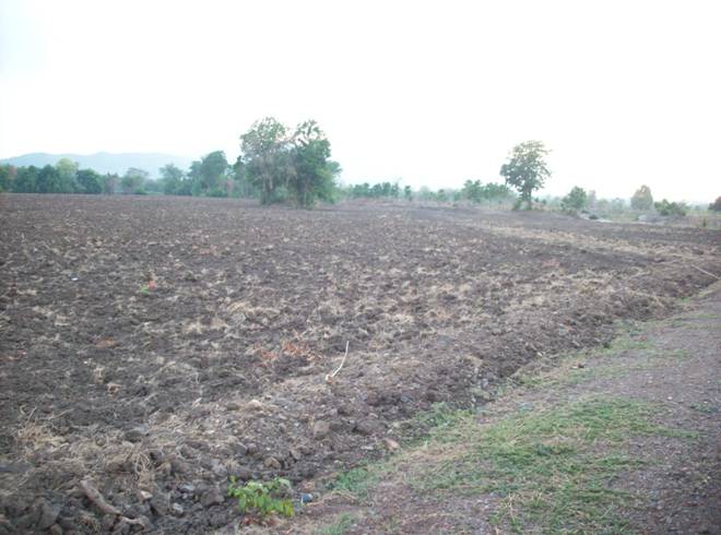 ขาย-ที่ดินเปล่า 300 ไร่ แปลงใหญ่ เจ้าของเดียว ตำบลหินซ้อน อำเภอแก่งคอย จังหวัดสระบุรี