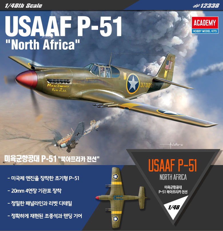 AC12338 USAAF P-51 " NORTH AFRICA " 1/48