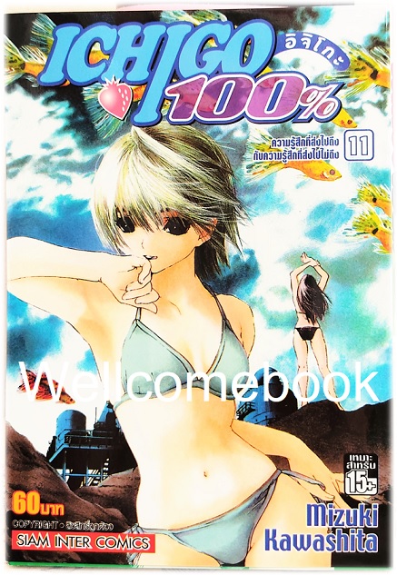 Xรวมชุด "Ichigo อิจิโกะ 100% 19 เล่มจบ + Short Stories ตอนพิเศษ เล่มเดียวจบ" ~Mizuki Kawashita~