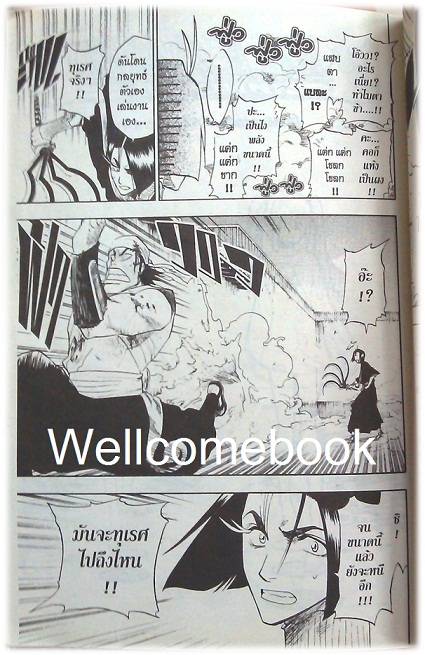 BLEACH เทพมรณะ เล่ม11 ~Tite Kubo~