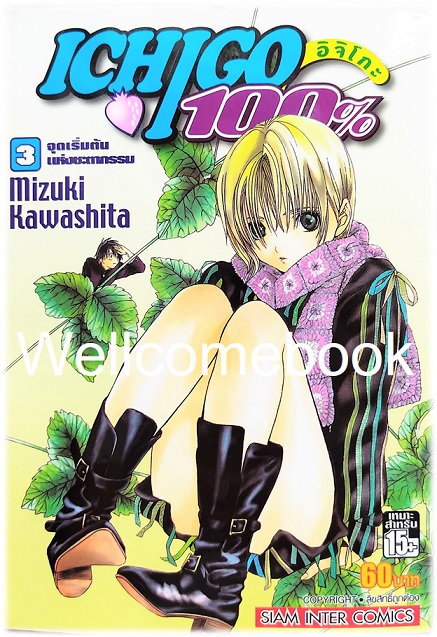 Xรวมชุด "Ichigo อิจิโกะ 100% 19 เล่มจบ + Short Stories ตอนพิเศษ เล่มเดียวจบ" ~Mizuki Kawashita~