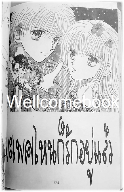 ป๋องแป๋งแย่งกันหลงรัก เล่มเดียวจบ