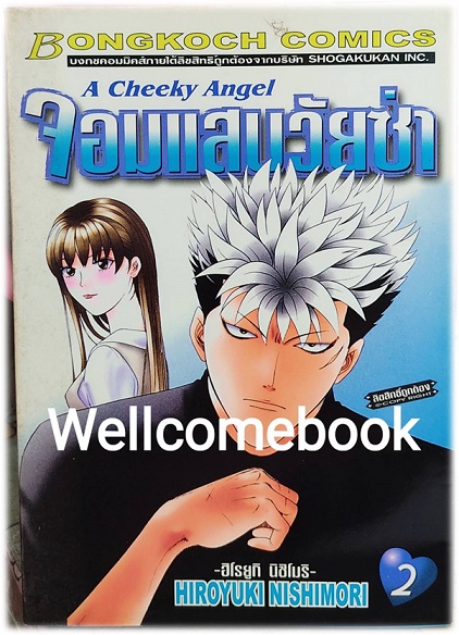 จอมแสบวัยซ่า เล่ม 2 ~HIROYUKI NICHIMORI~