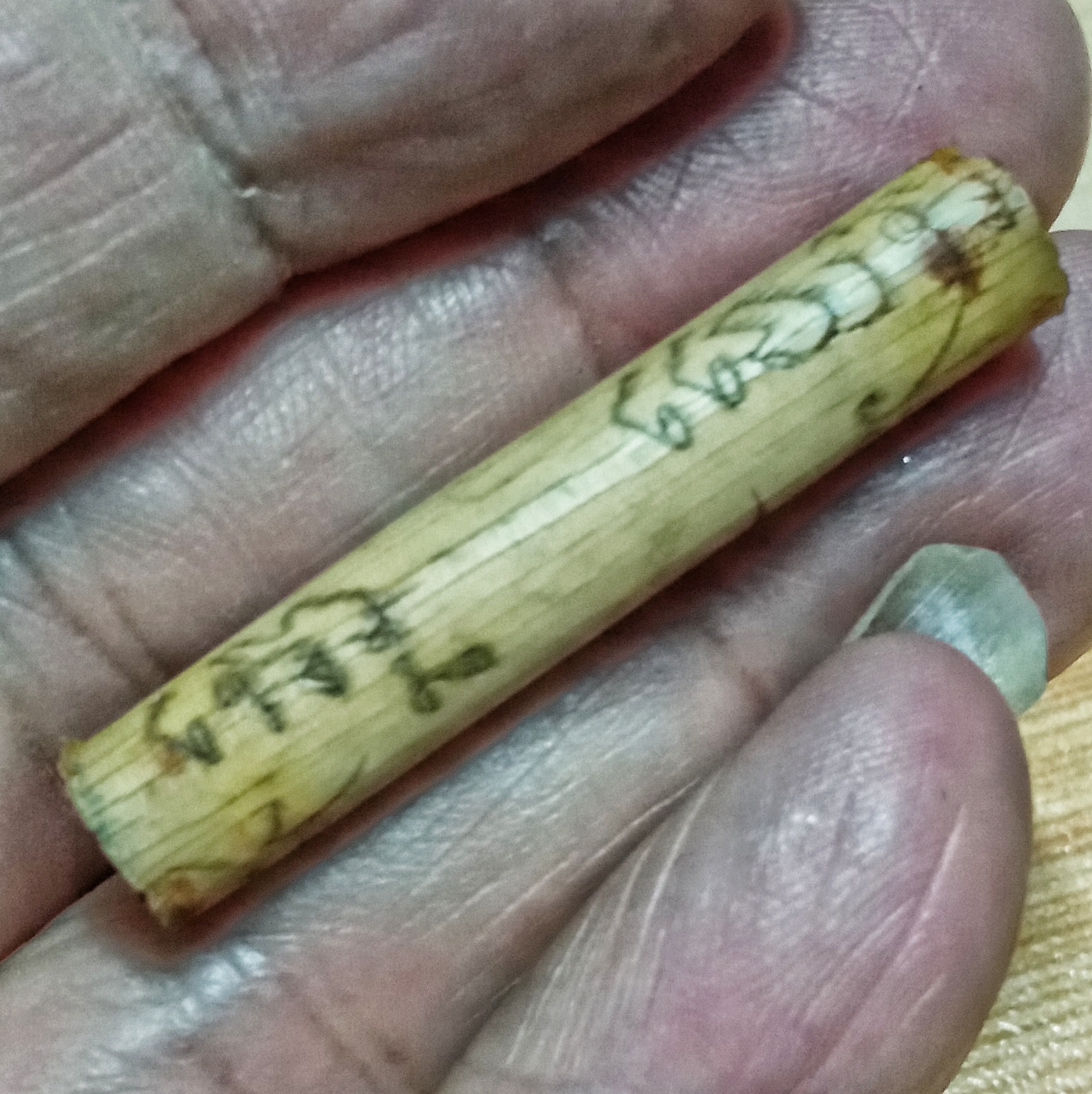 ตะกรุดใบลานเก่า จารมือ ปี2550 วัดสุวรรณาราม(วัดทอง) เขตบางกอกน้อย ธนบุรี