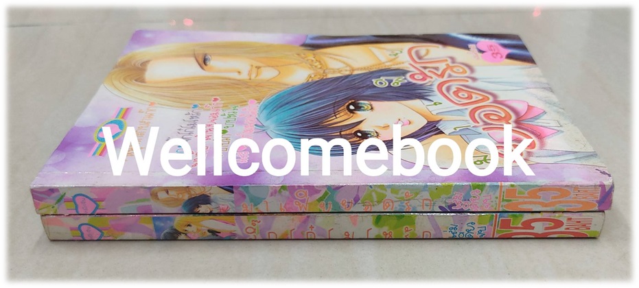 รวมชุด "จิ๊กโก๋โมโหรัก เล่มเดียวจบ + มาเฟียยอดรัก เล่มเดียวจบ"