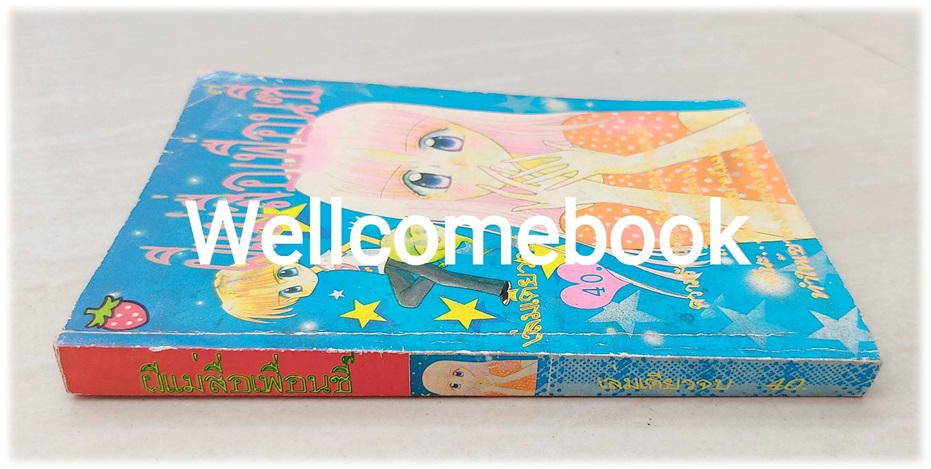 ผีแม่สื่อเพื่อนซี้ เล่มเดียวจบ