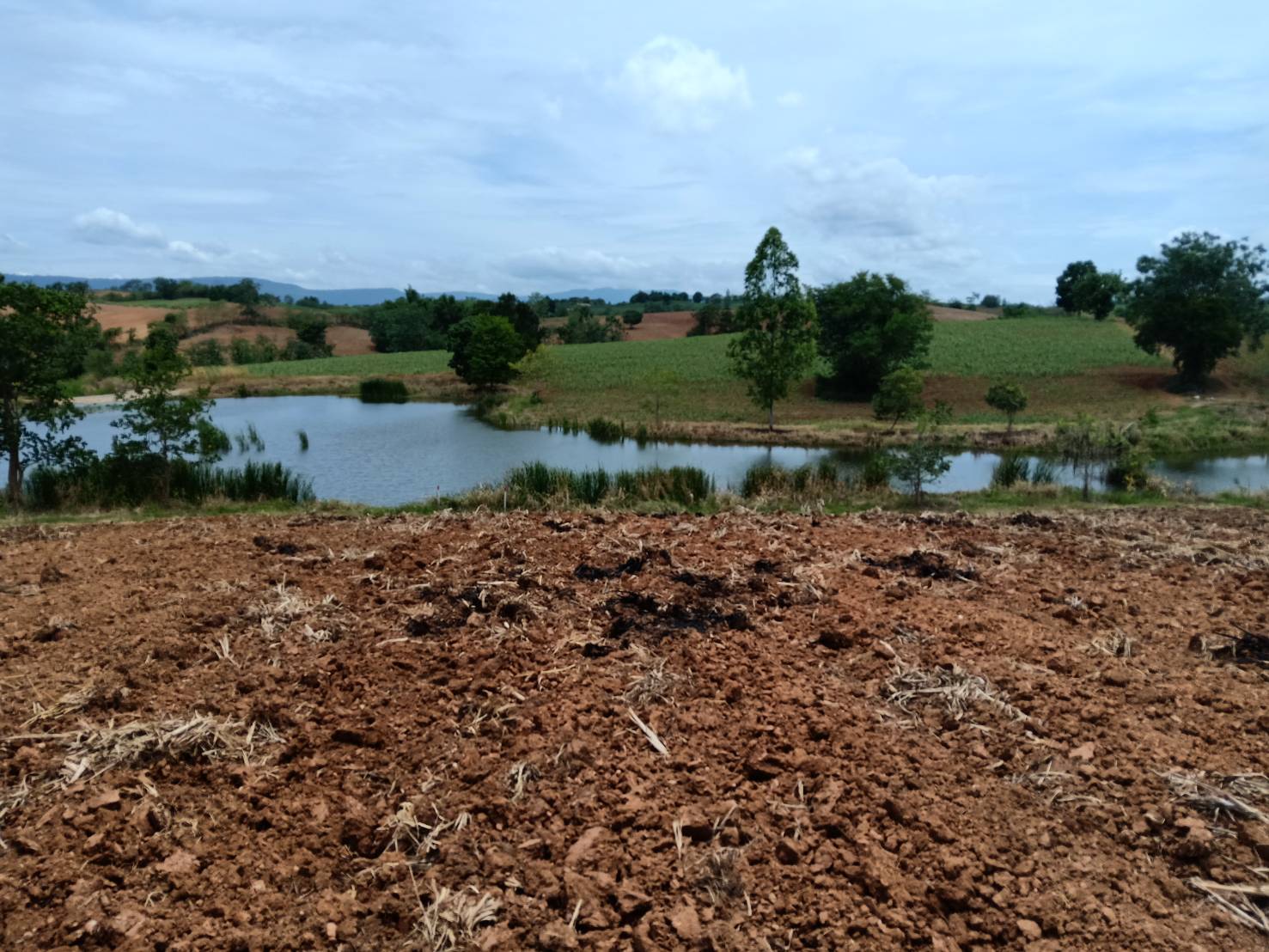 ขาย-ที่ดินเปล่า หมูสี ปากช่อง เขาใหญ่