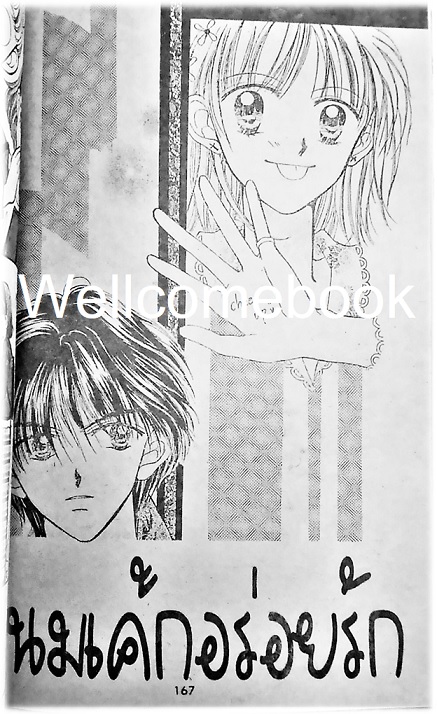 Xจิ้งจกหางฟู เล่มเดียวจบ