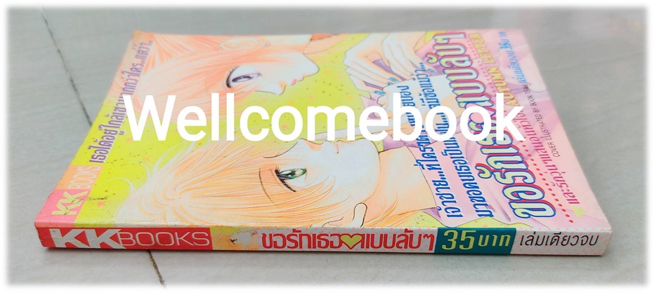 ขอรักเธอแบบลับๆ เล่มเดียวจบ