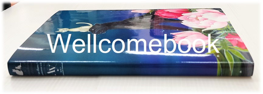 30th PIECE : Ay ชิโนฮาระ จิเอะ ฉลองครบรอบ 30 ปี ~Shinohara chie~