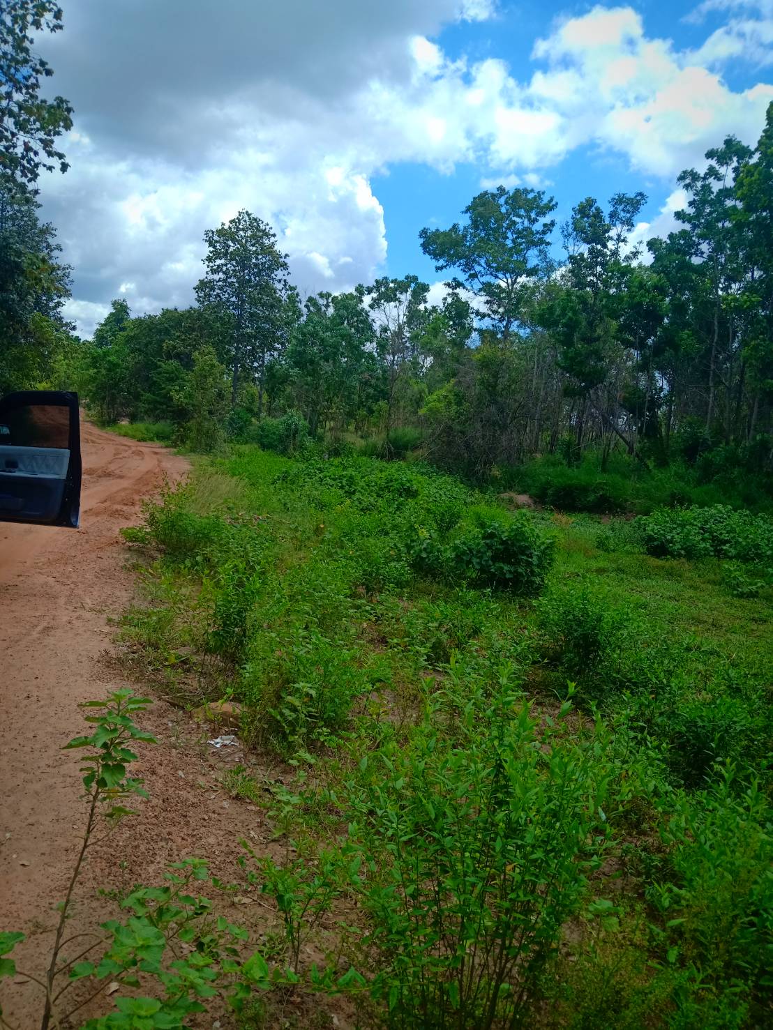 ขาย-ที่ดินเปล่ จำนวน888ไร่ ต.ตะขบ อ.ปักธงชัย จ.นครราชสีมา