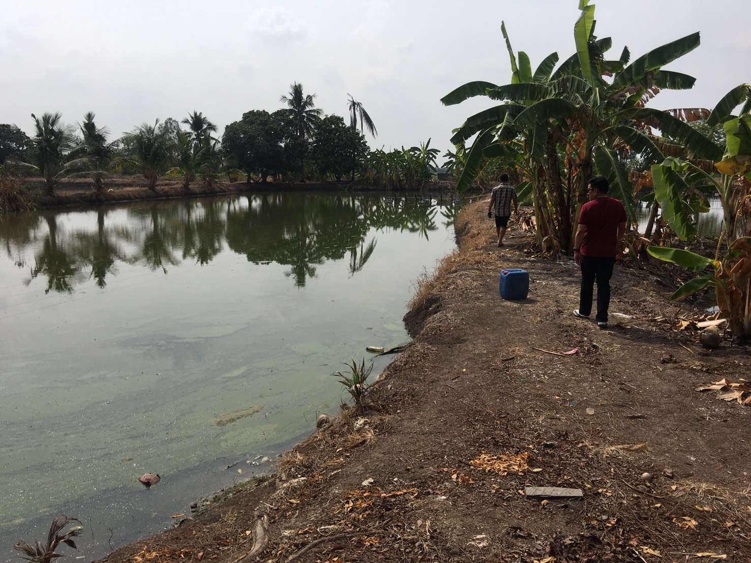 ขาย-ที่ดินเปล่า 30ไร่ ต.ศรีจุฬา อ.เมือง จ.นครนายก