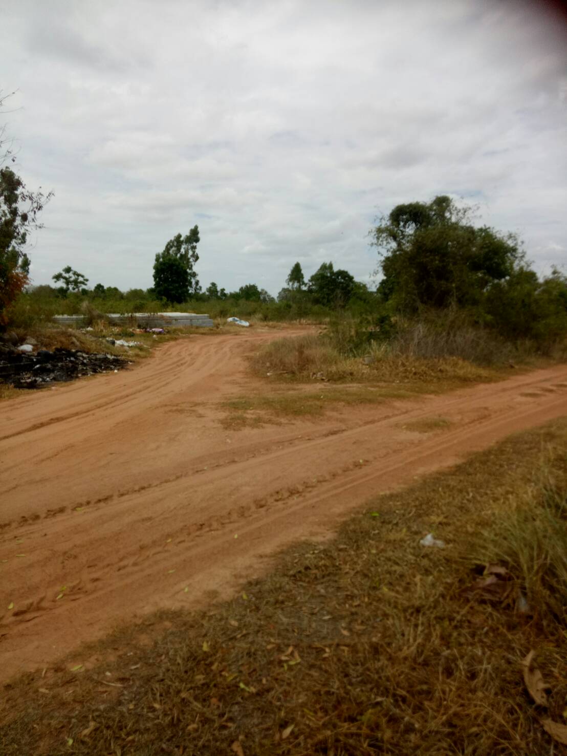 ขาย-ที่ดินเปล่า จำนวน2500ไร่ ถ กบินทร์บุรี-ปักธงชัย(304)ต.งิ้ว อ.ปักธงชัย จ.นครราชสีมา