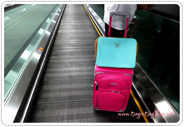 Travel Partition Bag กระเป๋าจัดหมวดหมู่สิ่งของในกระเป๋าเดินทาง