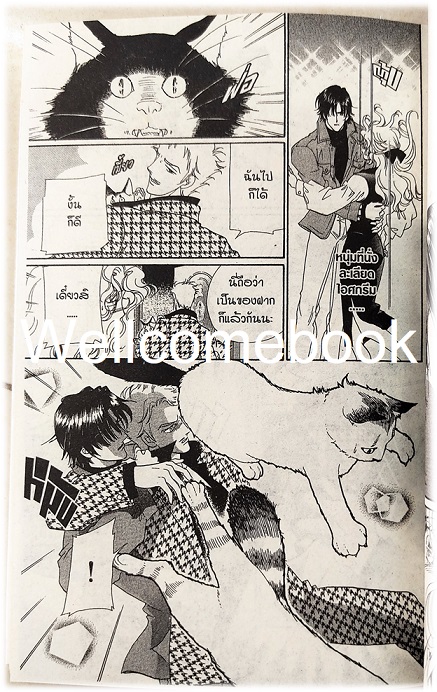 น้องเหมียวแห่งชานัวร์ เล่มเดียวจบ ~Saito Chiho~