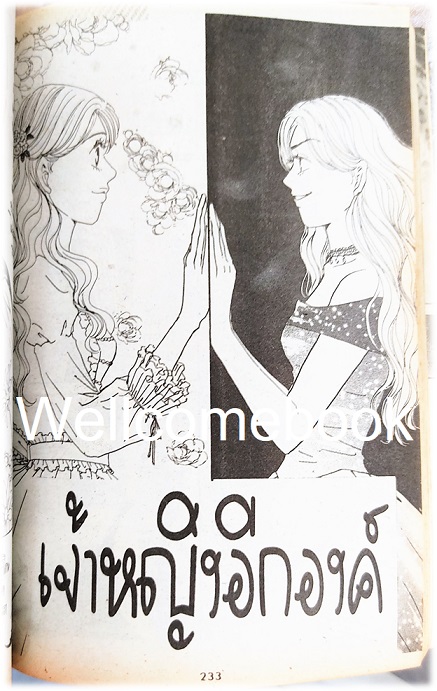 XPrincess พริ้นเซส 13 เล่มเดียวจบ