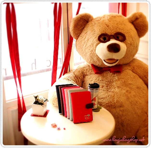 Diary Bookbank Case