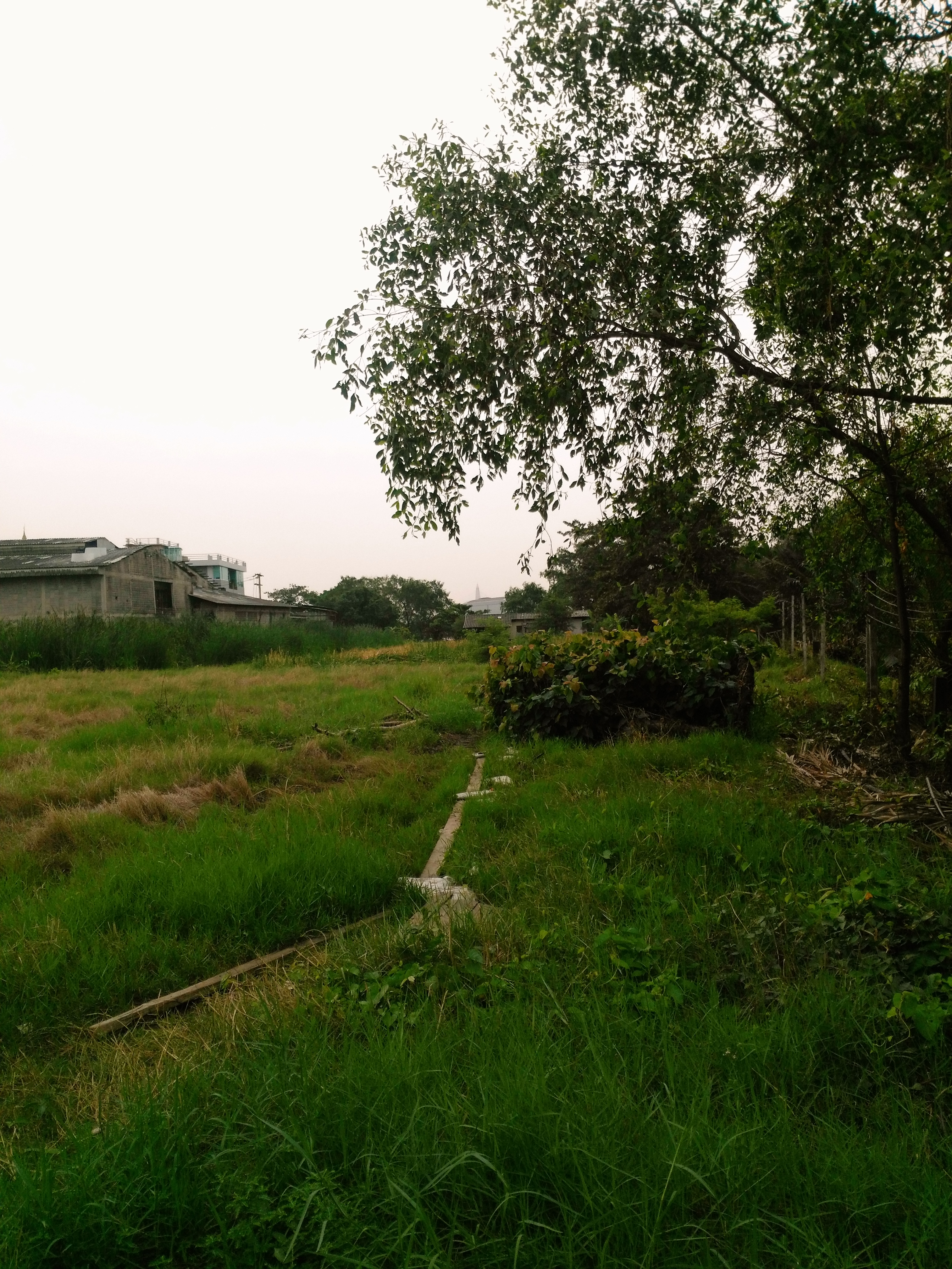 ที่ดินเปล่า7ไร่ติดเเม่น้ำเจ้าพระยา พระประแดงสมุทรปราการ